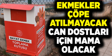 EKMEKLER ÇÖPE ATILMAYACAK CAN DOSTLARI İÇİN MAMA OLACAK