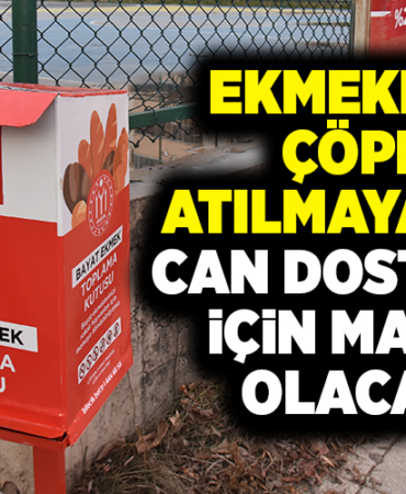 EKMEKLER ÇÖPE ATILMAYACAK CAN DOSTLARI İÇİN MAMA OLACAK