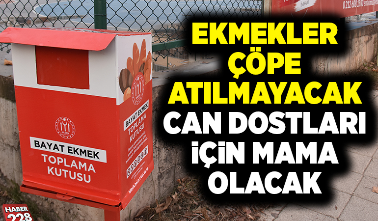 EKMEKLER ÇÖPE ATILMAYACAK CAN DOSTLARI İÇİN MAMA OLACAK