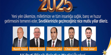 ak parti