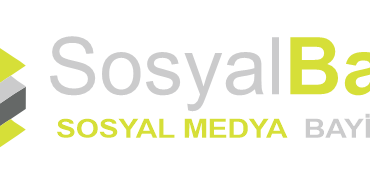 sosyalbayilik