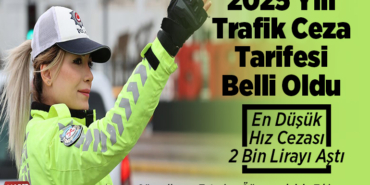 trafik cezası