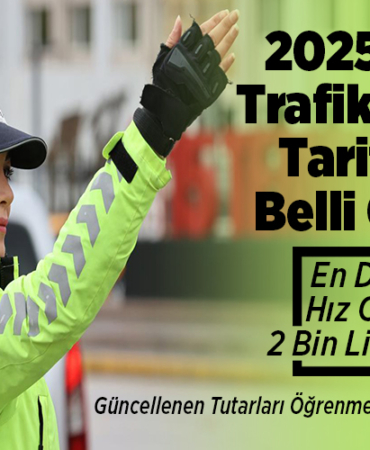 trafik cezası