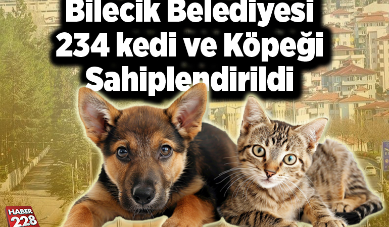 Bilecik Belediyesi 234 kedi ve köpeği sahiplendirildi