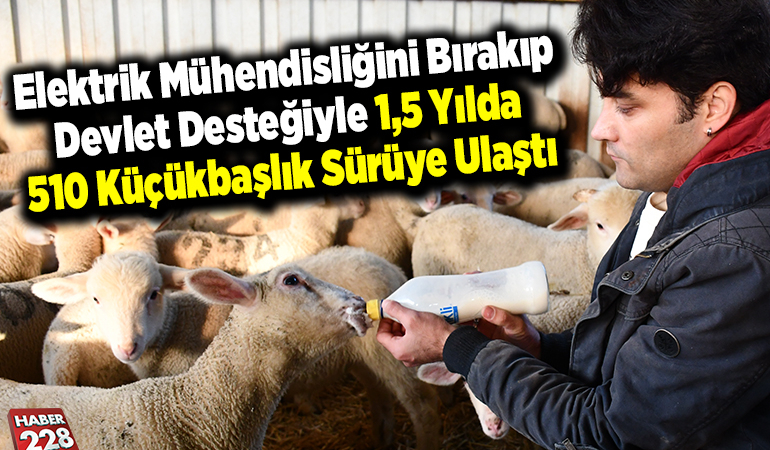 Elektrik mühendisliğini bırakıp devlet desteğiyle 1,5 yılda 510 küçükbaşlık sürüye ulaştı