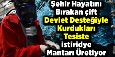 Şehir hayatını bırakan çift devlet desteğiyle kurdukları tesiste istiridye mantarı üretiyor