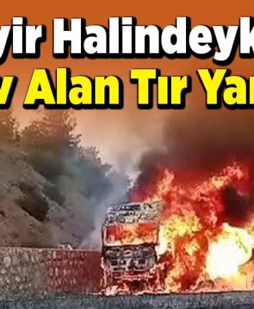 Seyir halindeyken alev alan tır yandı