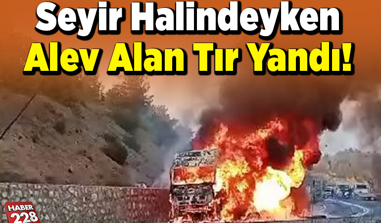 Seyir halindeyken alev alan tır yandı