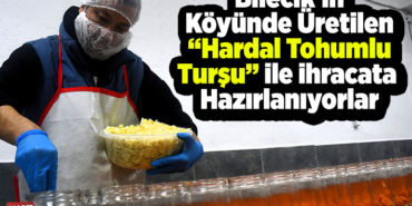 Bilecik'in köyünde üretilen hardal tohumlu turşu ile ihracata hazırlanıyorlar