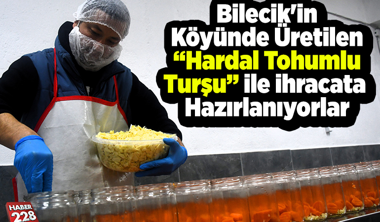 Bilecik’in köyünde üretilen “hardal tohumlu turşu” ile ihracata hazırlanıyorlar