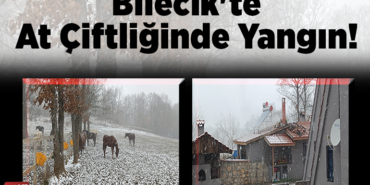 Bilecik'te at çiftliğinde yangın!