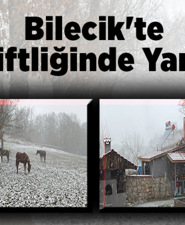 Bilecik'te at çiftliğinde yangın!