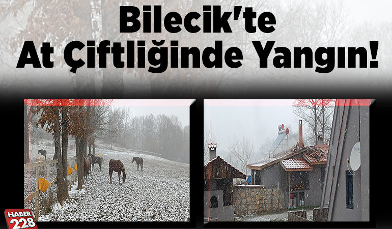 Bilecik’te at çiftliğinde yangın!