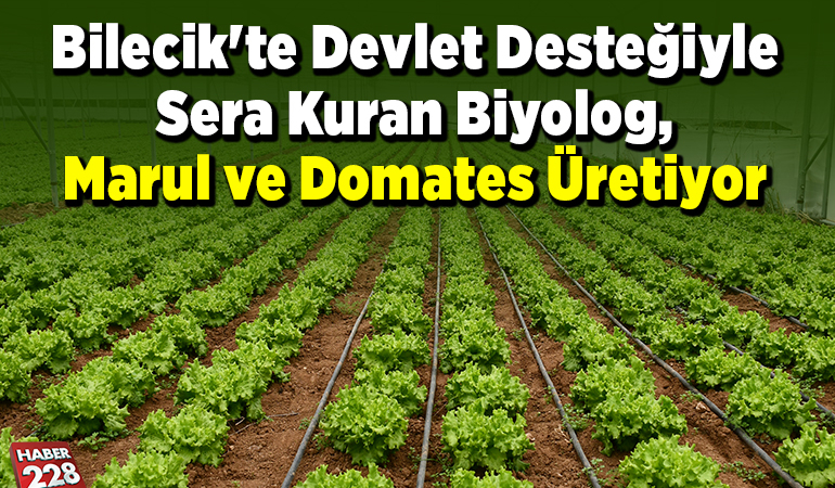 Bilecik’te devlet desteğiyle sera kuran biyolog, marul ve domates üretiyor