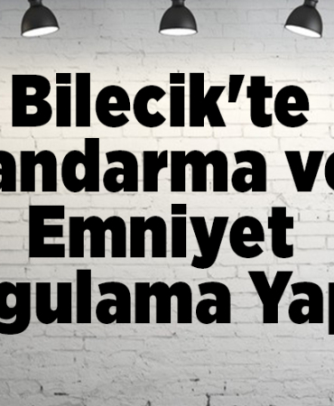 Bilecik'te jandarma ve emniyet uygulama yaptı
