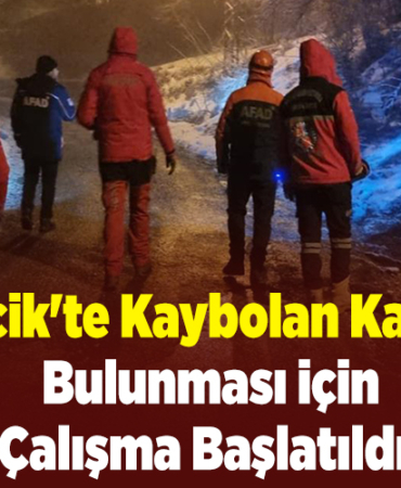 Bilecik'te kaybolan kadının bulunması için çalışma başlatıldı