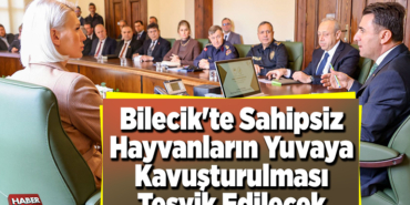 Bilecik'te sahipsiz hayvanların yuvaya kavuşturulması teşvik edilecek