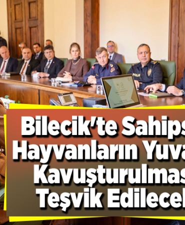 Bilecik'te sahipsiz hayvanların yuvaya kavuşturulması teşvik edilecek