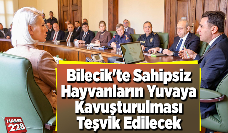 Bilecik’te sahipsiz hayvanların yuvaya kavuşturulması teşvik edilecek
