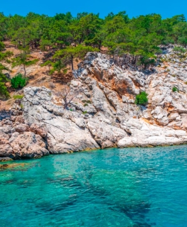 adrasanturteknesi (3)