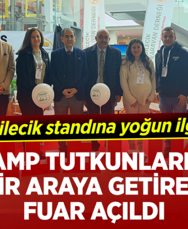 ilgi