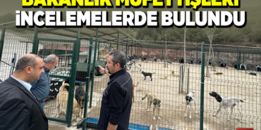 BAKANLIK MÜFETTİŞLERİ İNCELEMELERDE BULUNDU
