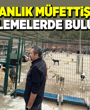 BAKANLIK MÜFETTİŞLERİ İNCELEMELERDE BULUNDU
