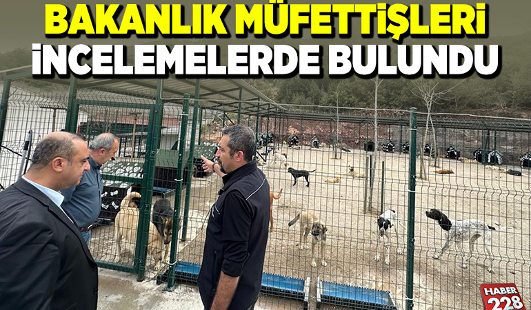 BAKANLIK MÜFETTİŞLERİ İNCELEMELERDE BULUNDU