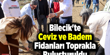 Bilecik'te ceviz ve badem fidanları toprakla buluşturuldu