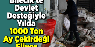 Bilecik'te devlet desteğiyle yılda 1000 ton ay çekirdeği eliyor