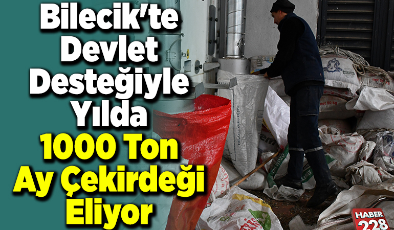 Bilecik’te devlet desteğiyle yılda 1000 ton ay çekirdeği eliyor