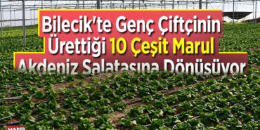 Bilecik'te genç çiftçinin ürettiği 10 çeşit marul Akdeniz salatasına dönüşüyor
