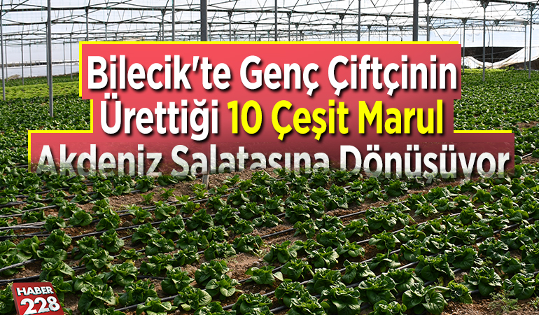 Bilecik’te genç çiftçinin ürettiği 10 çeşit marul Akdeniz salatasına dönüşüyor