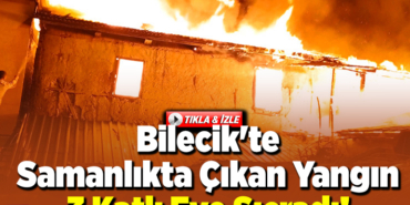 Bilecik'te samanlıkta çıkan yangın 3 katlı eve sıçradı!