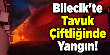 Bilecik'te tavuk çiftliği yangında hasar gördü