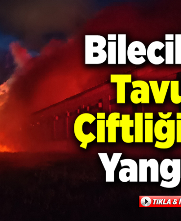 Bilecik'te tavuk çiftliği yangında hasar gördü
