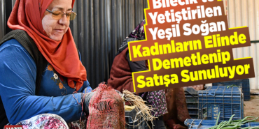 Bilecik'te yetiştirilen yeşil soğan kadınların elinde demetlenip satışa sunuluyor