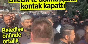 dolmuscular