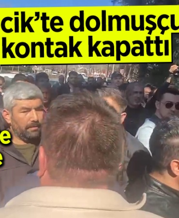 dolmuscular