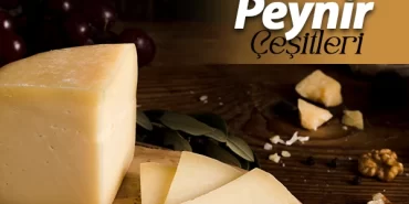 kars peynir