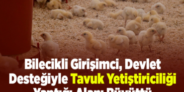 Bilecikli girişimci, devlet desteğiyle tavuk yetiştiriciliği yaptığı alanı büyüttü
