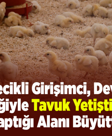 Bilecikli girişimci, devlet desteğiyle tavuk yetiştiriciliği yaptığı alanı büyüttü