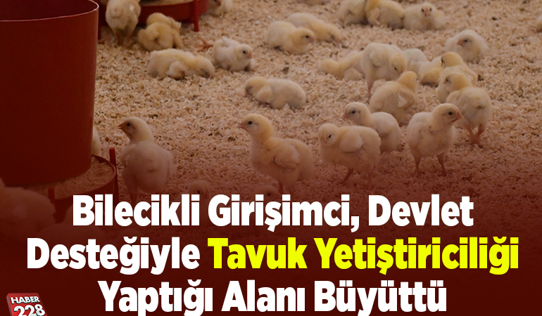 Bilecikli girişimci, devlet desteğiyle tavuk yetiştiriciliği yaptığı alanı büyüttü
