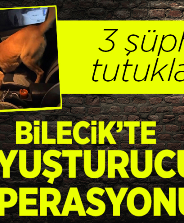 Bilecik'te uyuşturucu operasyonlarında 3 şüpheli tutuklandı