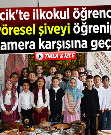 ŞİVE