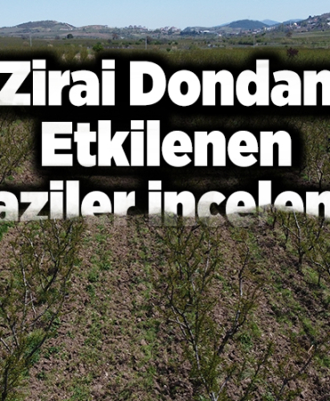 Zirai Dondan Etkilenen Araziler İncelendi!