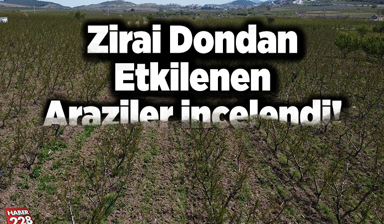 Zirai Dondan Etkilenen Araziler İncelendi!