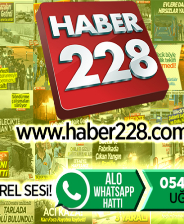 haber228.
