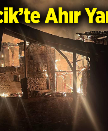 yangın