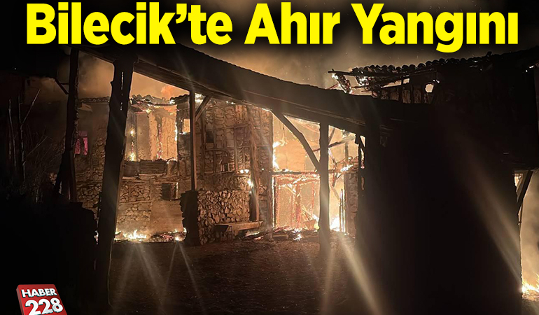 Bilecik’teki yangında ahır zarar gördü